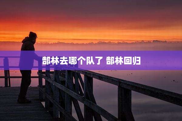 郜林去哪个队了 郜林回归