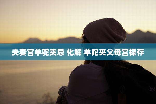夫妻宫羊驼夹忌 化解 羊陀夹父母宫禄存