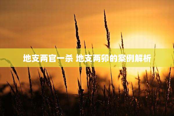 地支两官一杀 地支两卯的案例解析