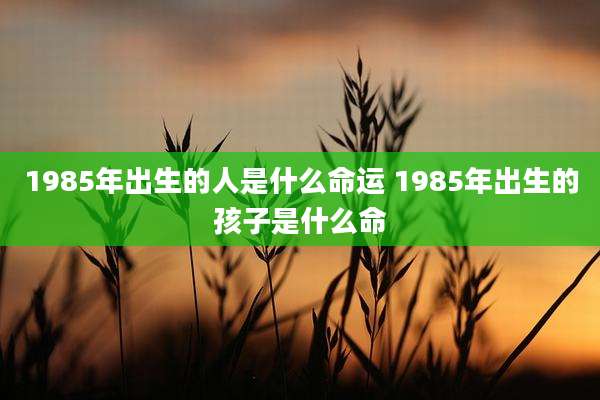 1985年出生的人是什么命运 1985年出生的孩子是什么命