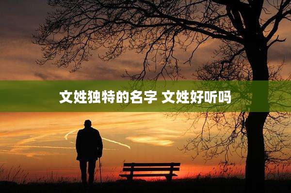 文姓独特的名字 文姓好听吗