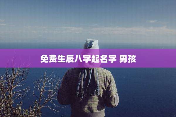 免费生辰八字起名字 男孩