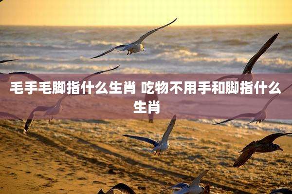 毛手毛脚指什么生肖 吃物不用手和脚指什么生肖