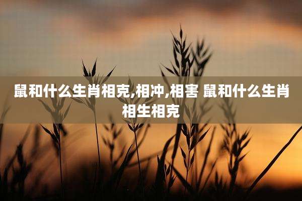 鼠和什么生肖相克,相冲,相害 鼠和什么生肖相生相克