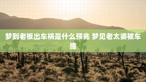 梦到老板出车祸是什么预兆 梦见老太婆被车撞
