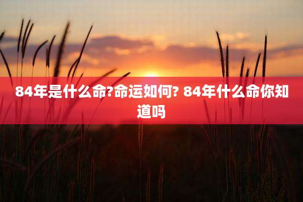84年是什么命?命运如何? 84年什么命你知道吗