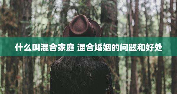 什么叫混合家庭 混合婚姻的问题和好处