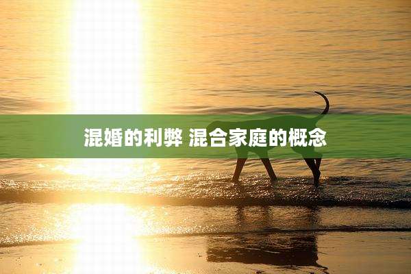 混婚的利弊 混合家庭的概念