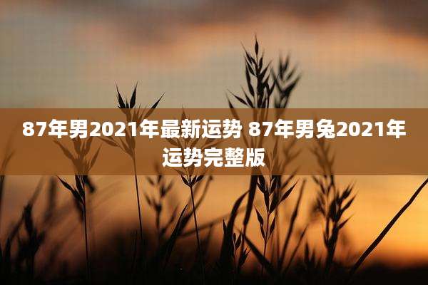 87年男2021年最新运势 87年男兔2021年运势完整版