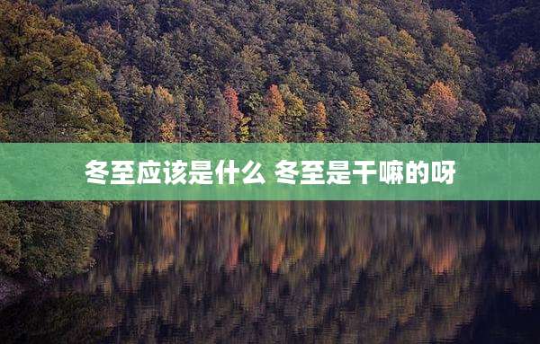 冬至应该是什么 冬至是干嘛的呀