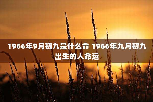1966年9月初九是什么命 1966年九月初九出生的人命运