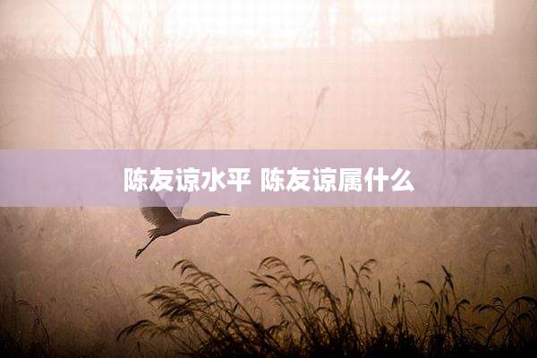 陈友谅水平 陈友谅属什么