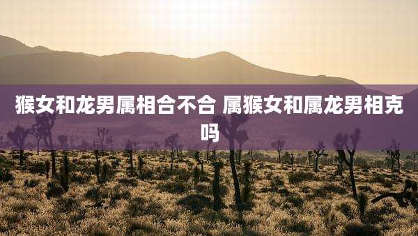 猴女和龙男属相合不合 属猴女和属龙男相克吗