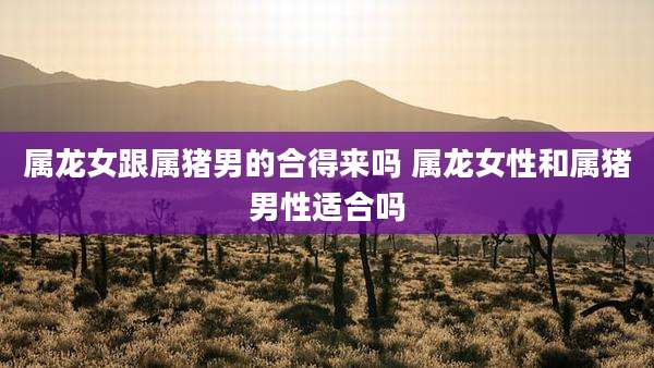 属龙女跟属猪男的合得来吗 属龙女性和属猪男性适合吗