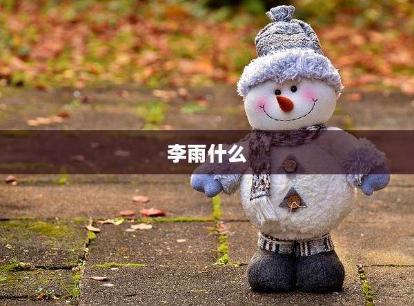 李雨什么
