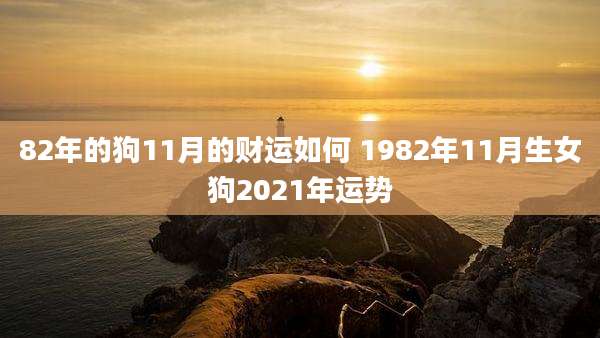 82年的狗11月的财运如何 1982年11月生女狗2021年运势