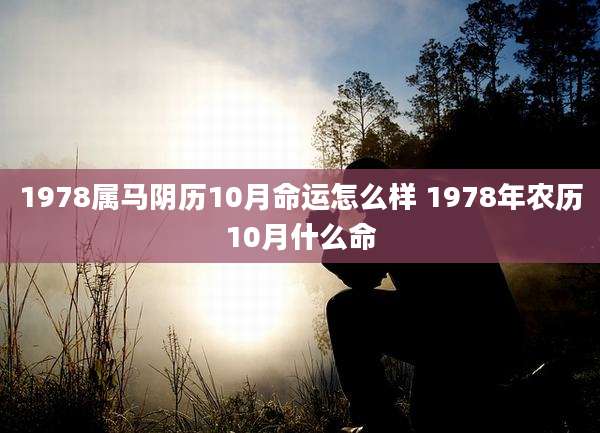 1978属马阴历10月命运怎么样 1978年农历10月什么命