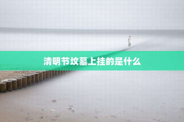 清明节坟墓上挂的是什么