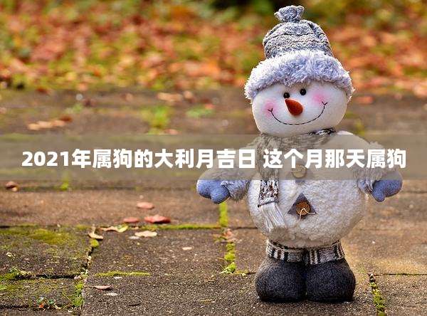 2021年属狗的大利月吉日 这个月那天属狗