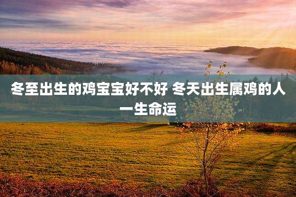 冬至出生的鸡宝宝好不好 冬天出生属鸡的人一生命运