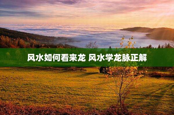 风水如何看来龙 风水学龙脉正解