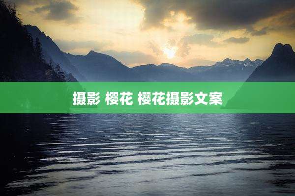 摄影 樱花 樱花摄影文案