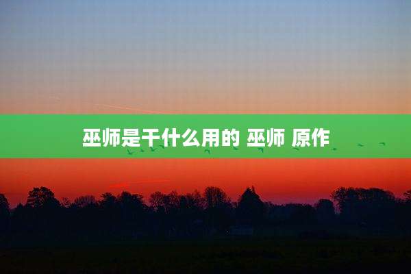 巫师是干什么用的 巫师 原作