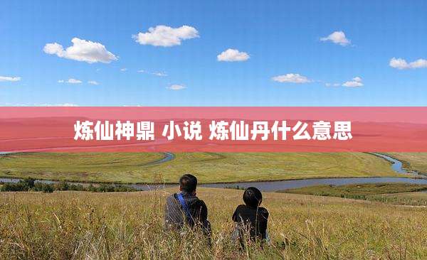 炼仙神鼎 小说 炼仙丹什么意思
