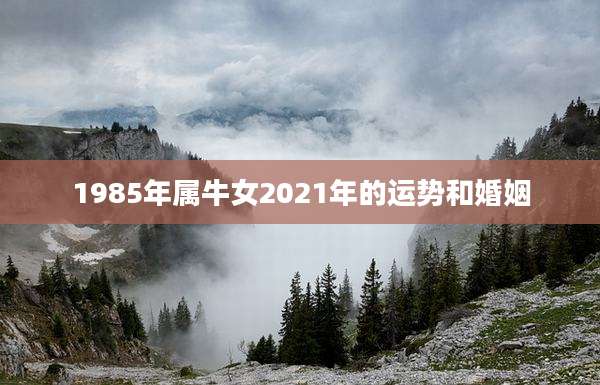 1985年属牛女2021年的运势和婚姻