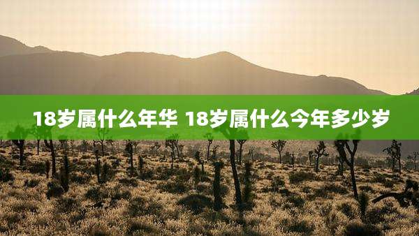 18岁属什么年华 18岁属什么今年多少岁