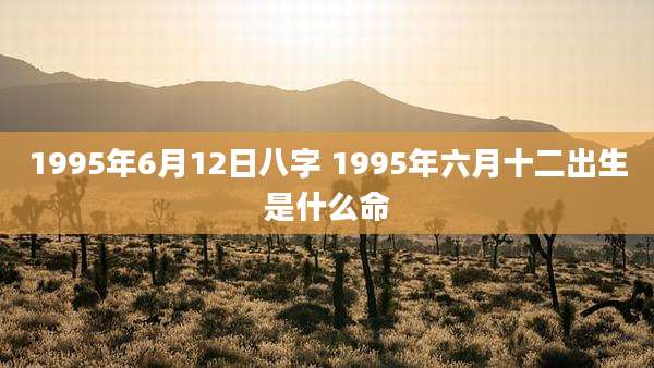 1995年6月12日八字 1995年六月十二出生是什么命
