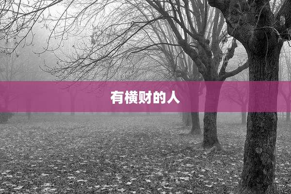 有横财的人