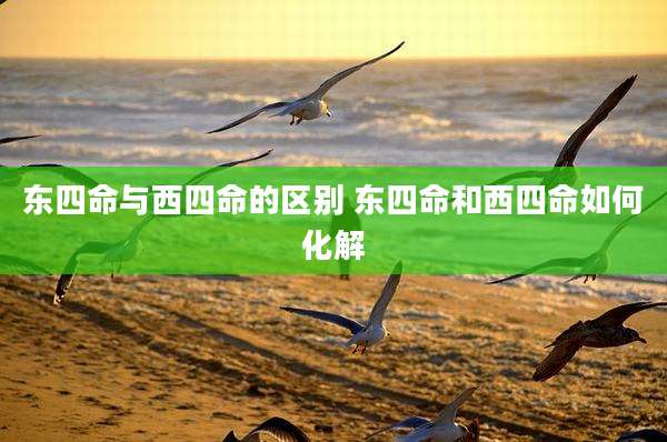 东四命与西四命的区别 东四命和西四命如何化解