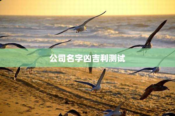 公司名字凶吉利测试