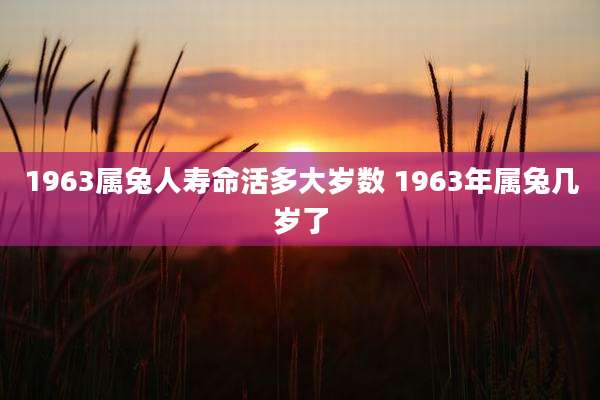 1963属兔人寿命活多大岁数 1963年属兔几岁了