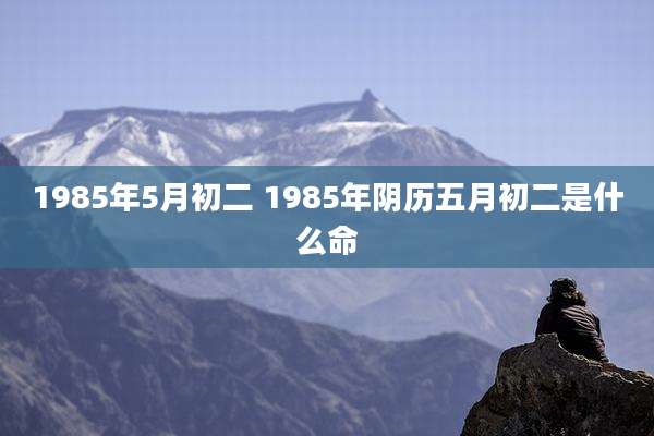 1985年5月初二 1985年阴历五月初二是什么命