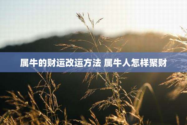 属牛的财运改运方法 属牛人怎样聚财