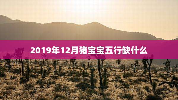 2019年12月猪宝宝五行缺什么