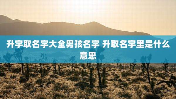 升字取名字大全男孩名字 升取名字里是什么意思