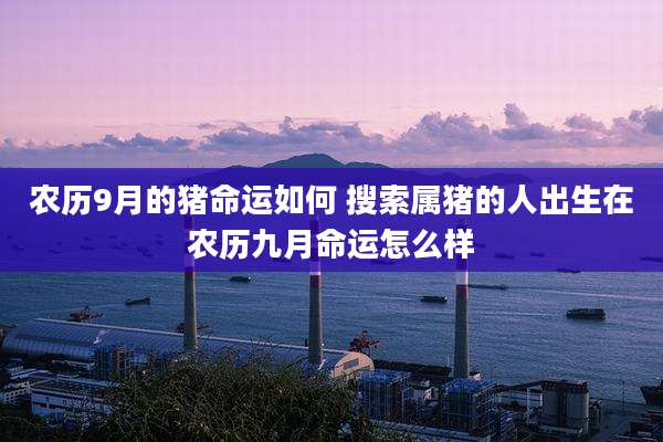 农历9月的猪命运如何 搜索属猪的人出生在农历九月命运怎么样