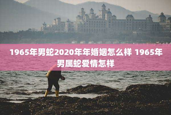 1965年男蛇2020年年婚姻怎么样 1965年男属蛇爱情怎样