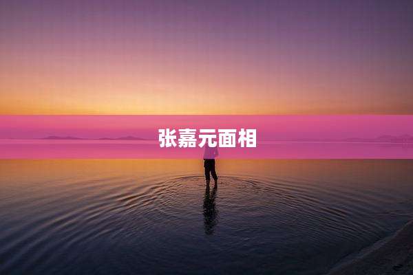 张嘉元面相