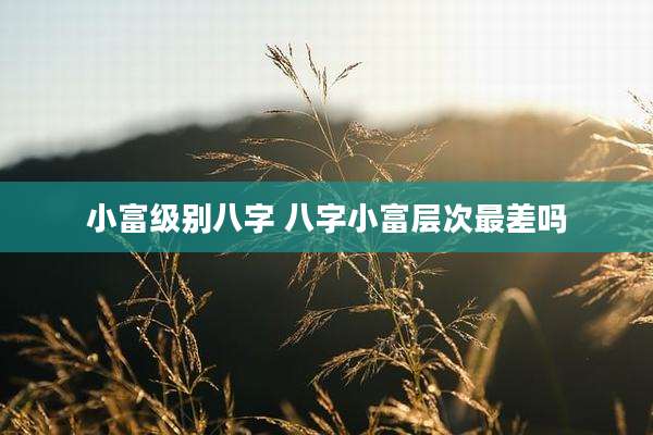 小富级别八字 八字小富层次最差吗