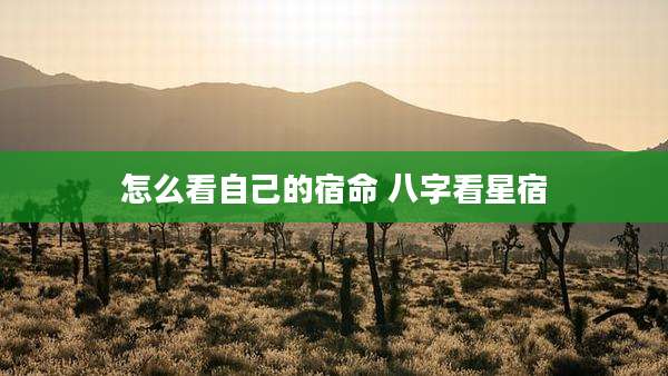 怎么看自己的宿命 八字看星宿