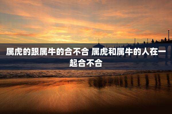属虎的跟属牛的合不合 属虎和属牛的人在一起合不合