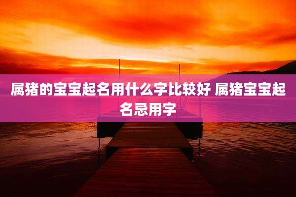 属猪的宝宝起名用什么字比较好 属猪宝宝起名忌用字