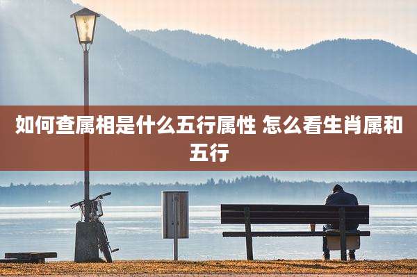 如何查属相是什么五行属性 怎么看生肖属和五行