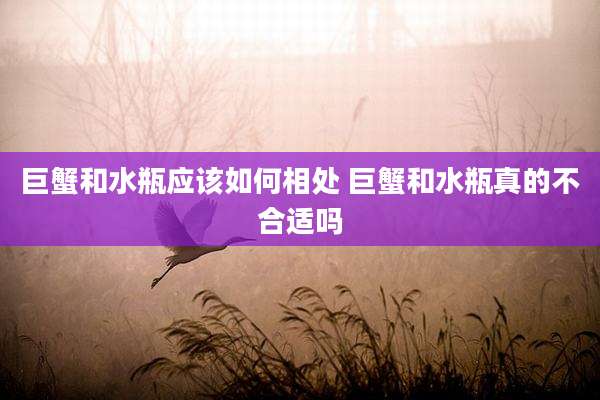 巨蟹和水瓶应该如何相处 巨蟹和水瓶真的不合适吗