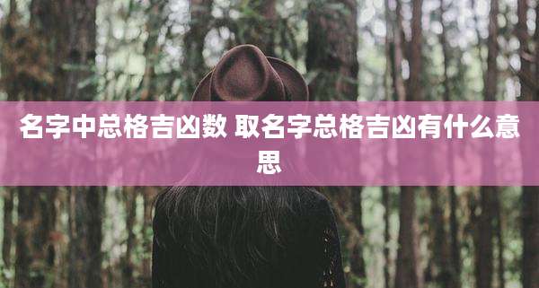 名字中总格吉凶数 取名字总格吉凶有什么意思