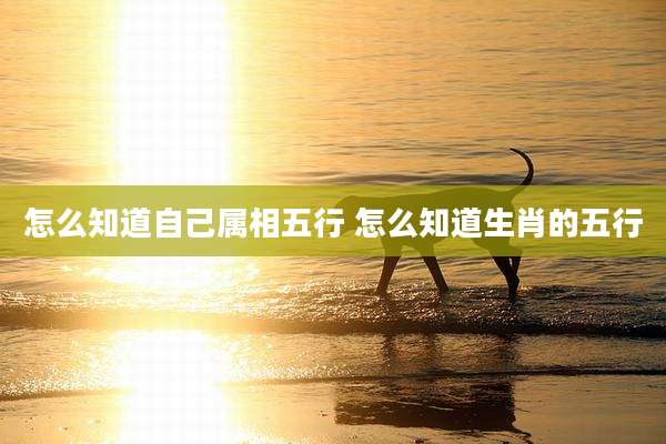 怎么知道自己属相五行 怎么知道生肖的五行